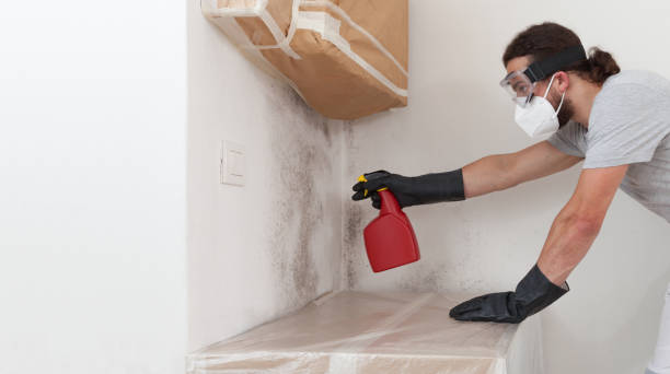 Professional Mold Testing technician working in Greenbush, VA