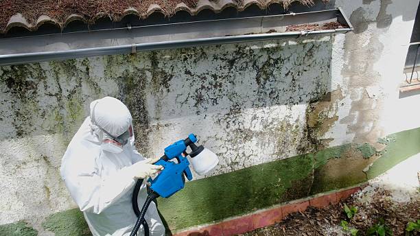 Trusted Bathroom Mold Removal service in Greenbush, VA - Cheap Mold Removal